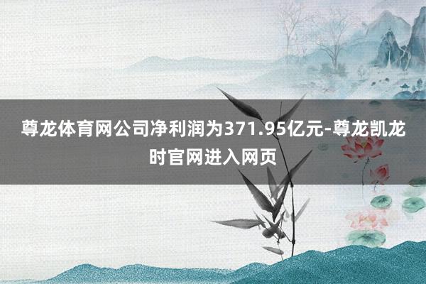 尊龙体育网公司净利润为371.95亿元-尊龙凯龙时官网进入网页