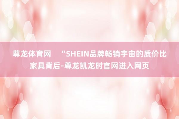 尊龙体育网 “SHEIN品牌畅销宇宙的质价比家具背后-尊龙凯龙时官网进入网页