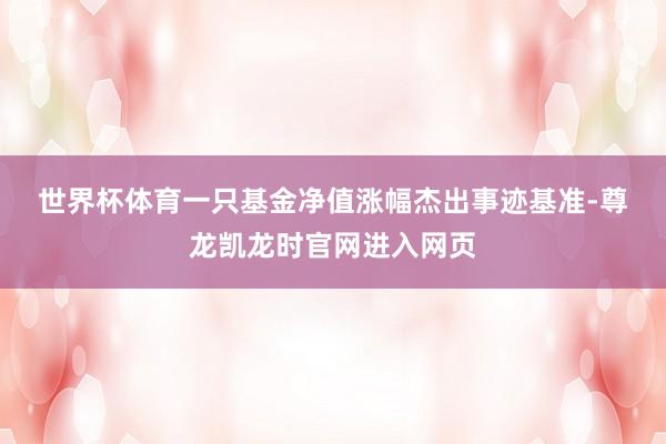 世界杯体育　　一只基金净值涨幅杰出事迹基准-尊龙凯龙时官网进入网页